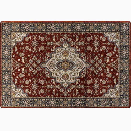 Rug like new, living room
