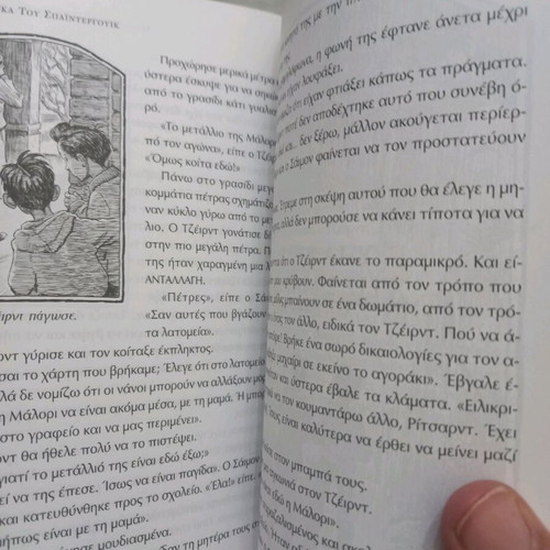 The Chronicles of Spiderwick like new, 397 pages