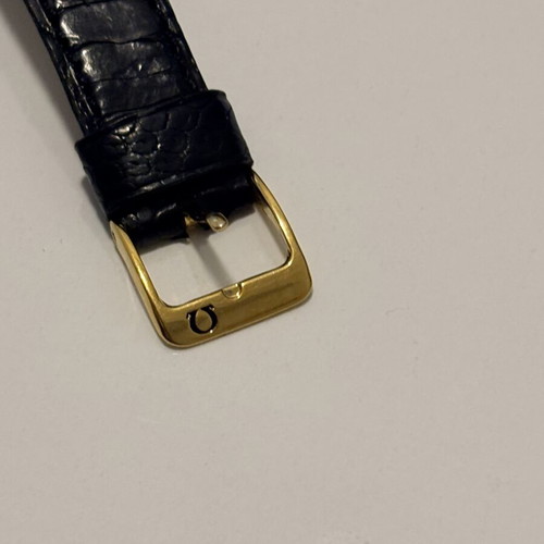 Omega Geneve, Seamaster De Ville, Seamaster, Reymond Weil, Raketa Moonphase watches used collection