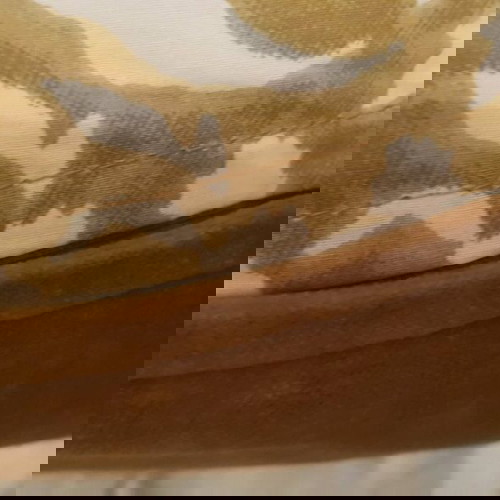 Μεγάλο διακοσμητικό μαξιλάρι καινούργιο βελούδινο λάδομουσταρδι 60x58 Coin Casa