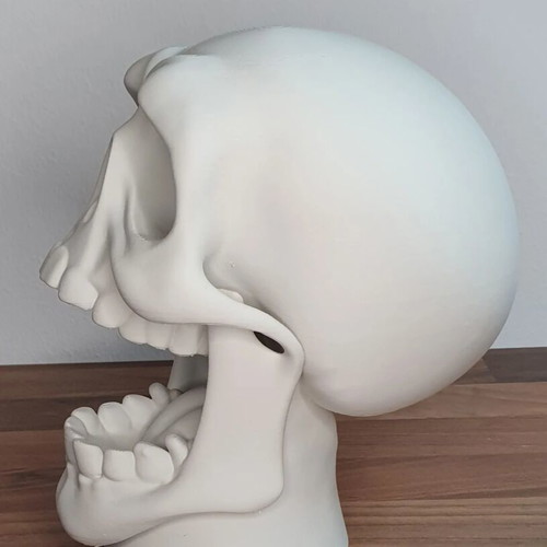 Epic Skull Controller and Headset Stand new