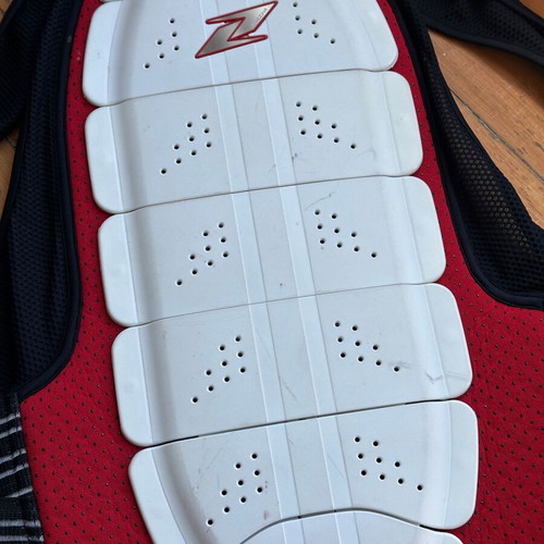 Back Protector for Extreme Sports used, ski season worn