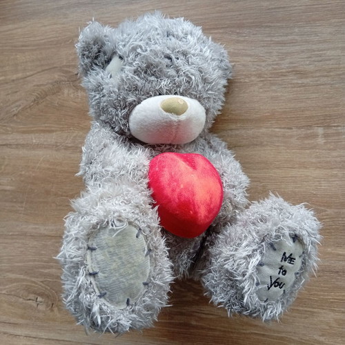 Plush used with ring case