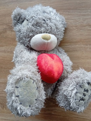 Plush used with ring case