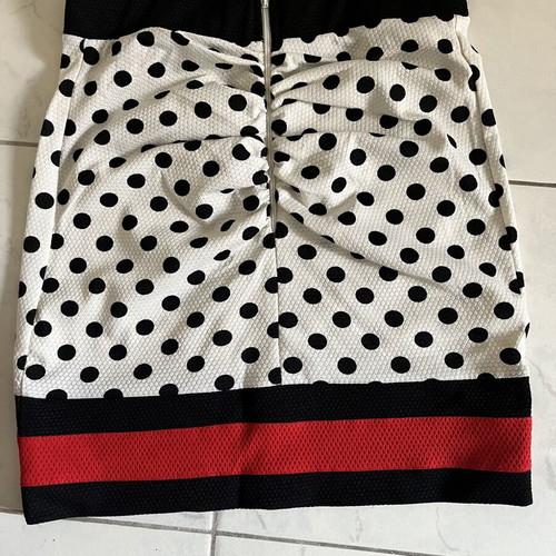 Andra Lingerie polka dot skirt with back zipper