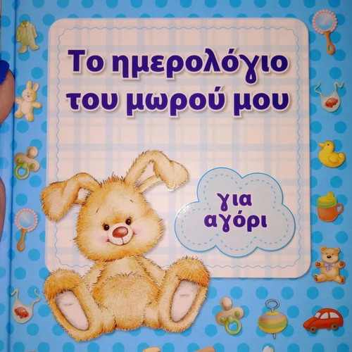 Baby diary new for boy