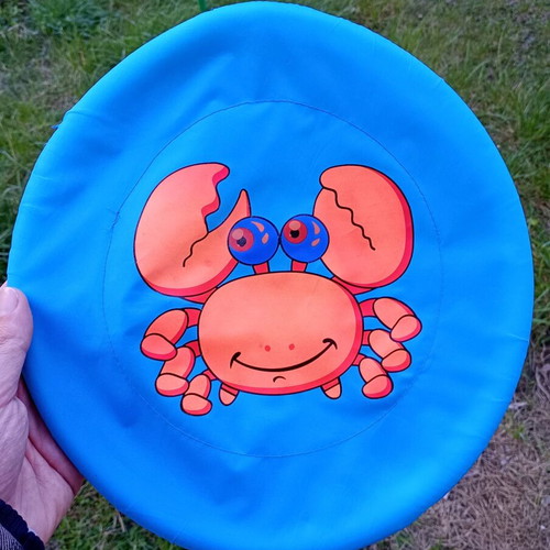 Fabric frisbee used made of nylon