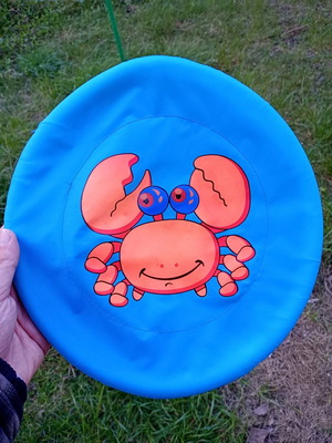 Fabric frisbee used made of nylon