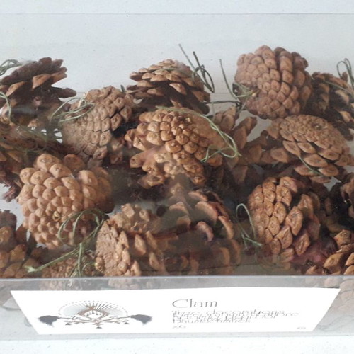 Habitat Christmas ornaments new, pack of 20 pine cones