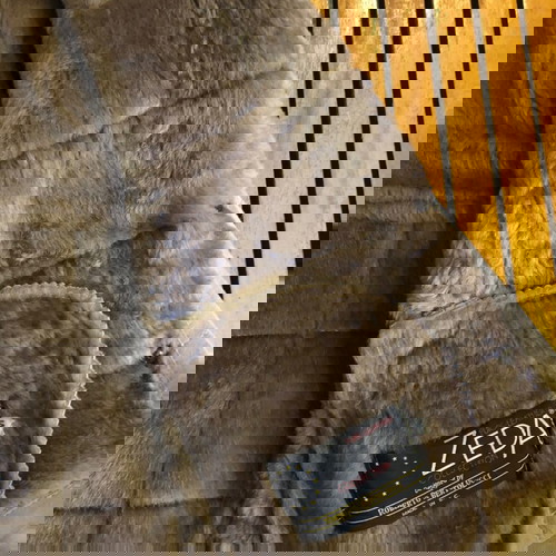 Δερμάτινο γυναικείο σακάκι Zeda Collection σαν καινούργιο, μπεζ, μέγεθος Μ