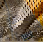  Δερμάτινο γυναικείο σακάκι Zeda Collection