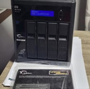 Nas WD 4100
