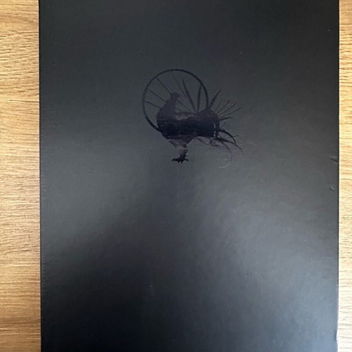 Massive Black Volume 1 art book like new, English