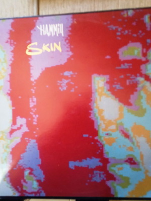 Βινύλιο Peter Hammill Skin LP μεταχειρισμένο, Rock