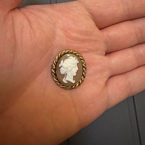 Cameo pin used with genuine design