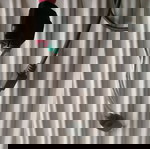  Σαρωτής barcode
