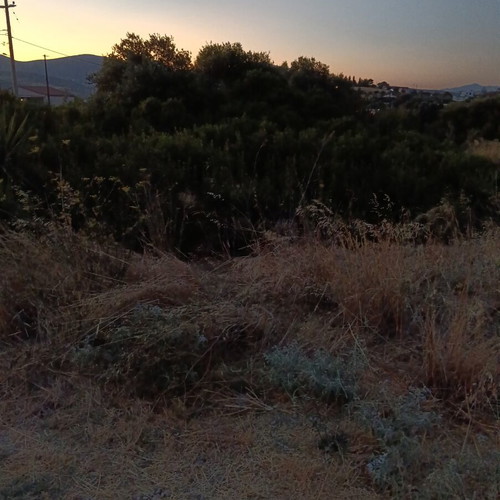 Agricultural land near Agia Marina Koropi, 1400 m², residential area