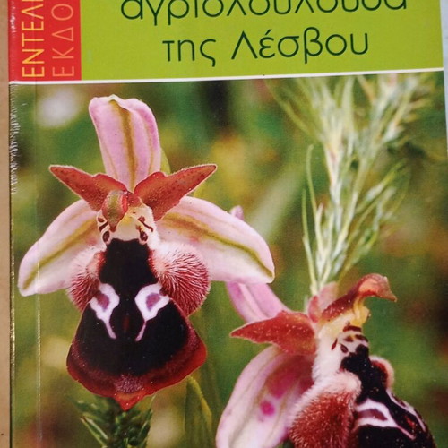 Orchids wildflowers of Lesvos used book