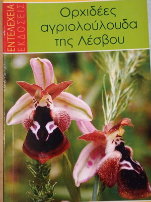 Orchids wildflowers of Lesvos used book