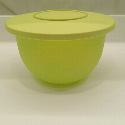 Tupperware set of 2 containers 1.3 liters new