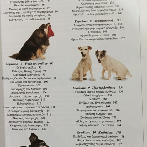 The Care of Your Dog by Dr. Bruce Fogle like new, hobby book