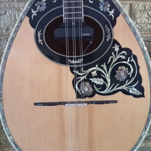 Trichordo Bouzouki like new with pickup