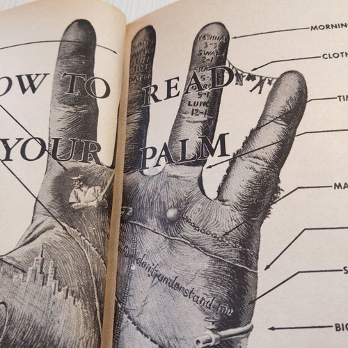 The Ides Of Mad used foreign language book