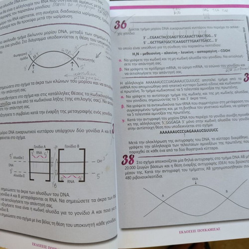 Biology 5th Edition Study Guide for 3rd Grade Lyceum Science by Nota Lazaraki