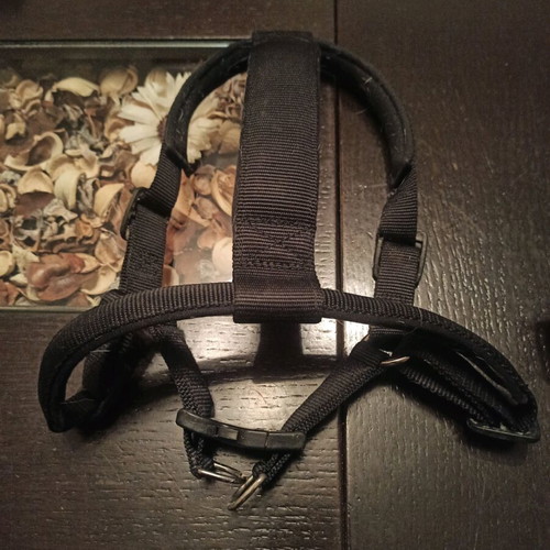Dog harnesses used, pack of 2, chest strap collars
