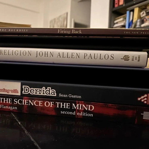 Pack of 4 foreign language academic books used, philosophy and sociology