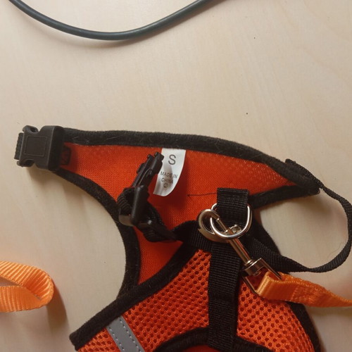 Small dog or cat leash, 1 meter length