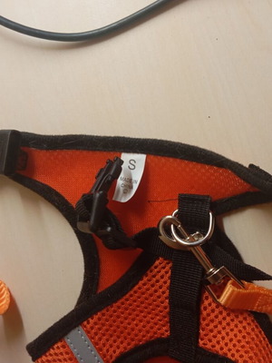 Small dog or cat leash, 1 meter length