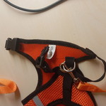 Small dog or cat leash, 1 meter length