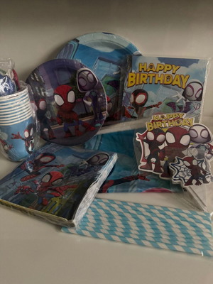 Spider Man birthday set for 10 people new