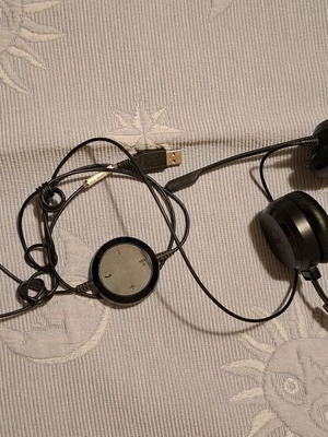 Dell USB headphones used, wired