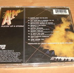 The Gregg Allman Band - Playin' Up A Storm (CD)