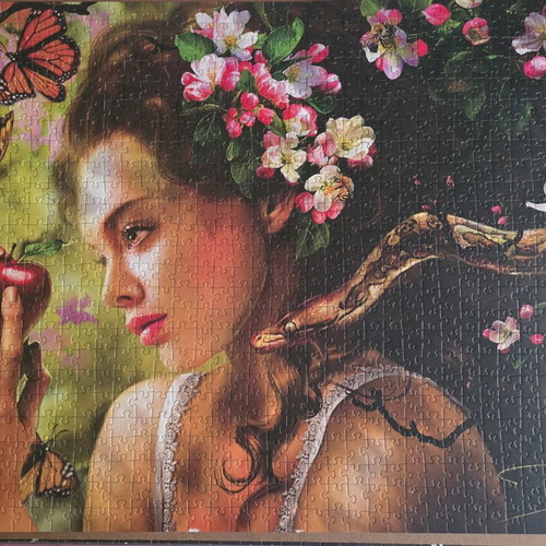Trefl Eva Puzzle 1000 Pieces like new