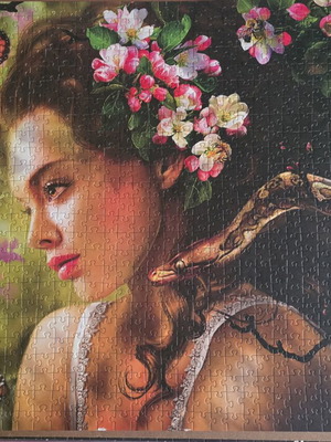 Trefl Eva Puzzle 1000 Pieces like new