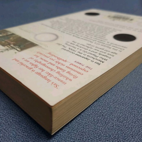 The Girl Who Played Go new English book