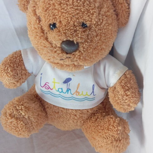 Small brown plush teddy bear Istanbul like new, 17 cm souvenir