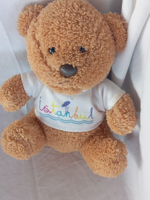 Small brown plush teddy bear Istanbul like new, 17 cm souvenir